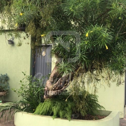 Imóvel 606 (3) - CasaBella Imobiliária