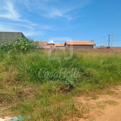 Imóvel WhatsApp Image 2025-02-20 at 13.40.27 (1) - CasaBella Imobiliária