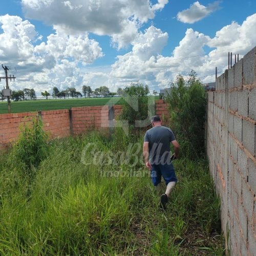 Imóvel WhatsApp Image 2025-03-05 at 17.02.55 - CasaBella Imobiliária