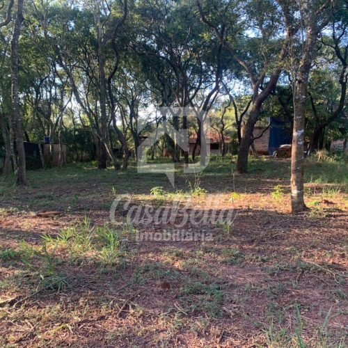 Imóvel WhatsApp Image 2025-08-19 at 16.14.21 - CasaBella Imobiliária