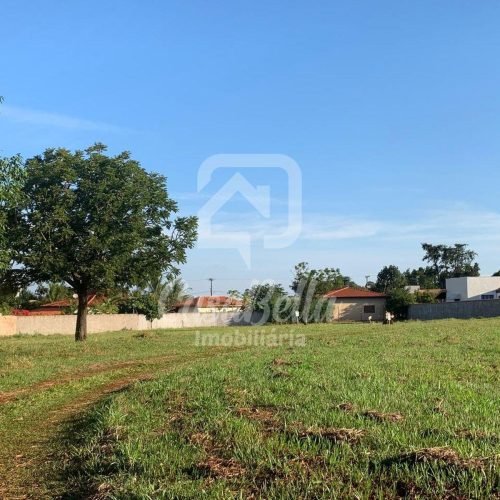 Imóvel WhatsApp Image 2025-09-05 at 12.31.53 - CasaBella Imobiliária