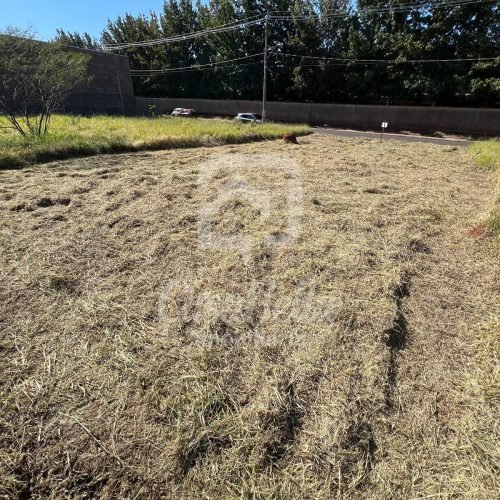 Imóvel WhatsApp Image 2025-10-14 at 15.03.03 (1) - CasaBella Imobiliária