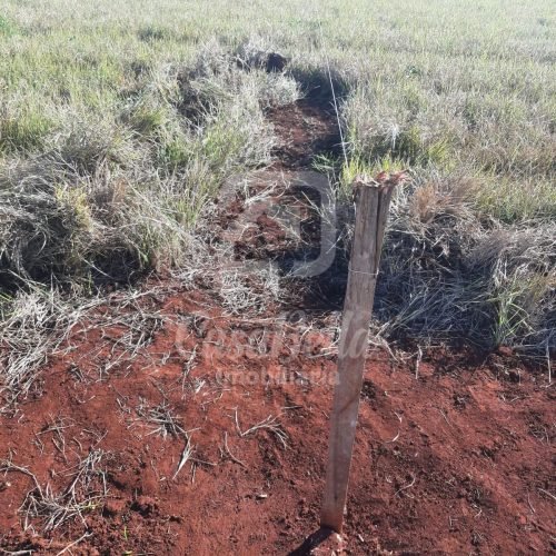 Imóvel WhatsApp Image 2025-12-29 at 13.28.32 (1) - CasaBella Imobiliária