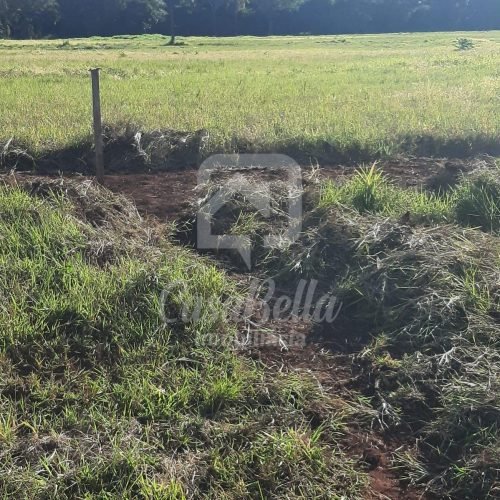 Imóvel WhatsApp Image 2025-12-29 at 13.28.32 (2) - CasaBella Imobiliária