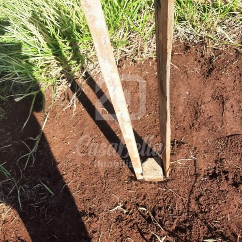 Imóvel WhatsApp Image 2025-12-29 at 13.28.32 (3) - CasaBella Imobiliária