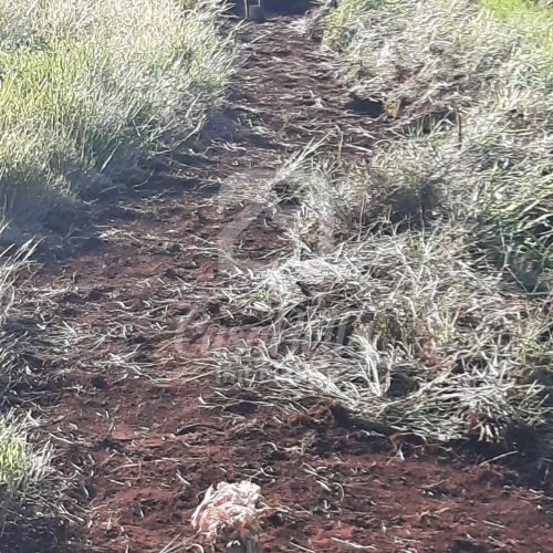 Imóvel WhatsApp Image 2025-12-29 at 13.28.33 - CasaBella Imobiliária