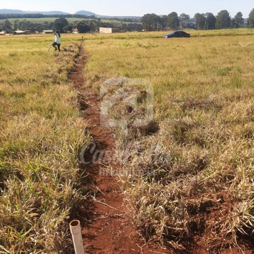 Imóvel WhatsApp Image 2025-12-29 at 13.35.16 - CasaBella Imobiliária