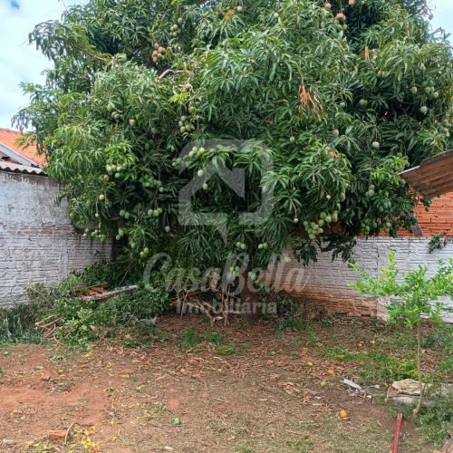 Imóvel WhatsApp Image 2026-01-09 at 14.06.44 - CasaBella Imobiliária