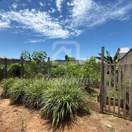 Imóvel WhatsApp Image 2026-01-10 at 10.31.23 (1) - CasaBella Imobiliária