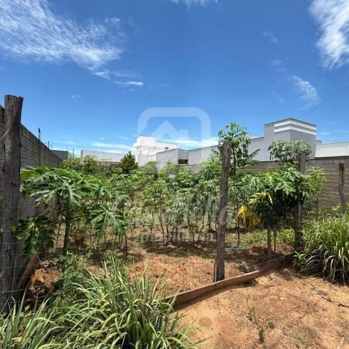 Imóvel WhatsApp Image 2026-01-10 at 10.31.23 (2) - CasaBella Imobiliária