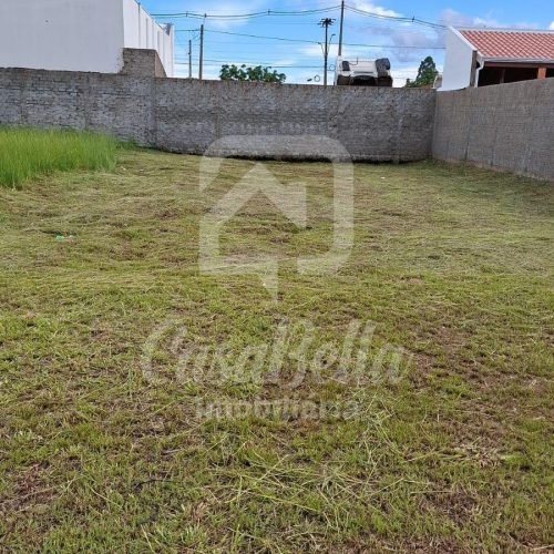 Imóvel WhatsApp Image 2026-02-06 at 13.23.23 (1) - CasaBella Imobiliária