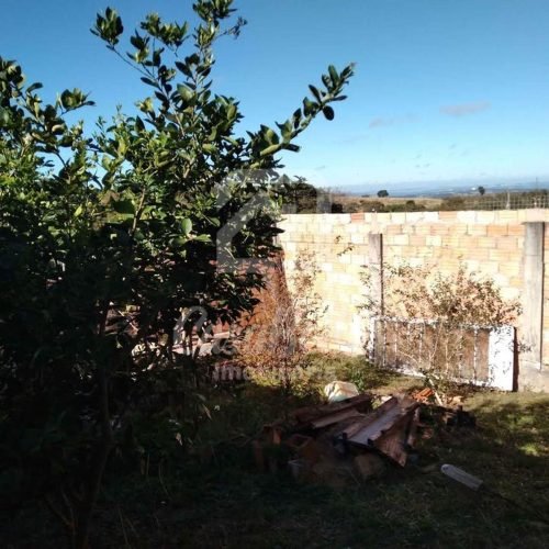 Imóvel WhatsApp Image 2026-02-09 at 14.41.59 (1) - CasaBella Imobiliária