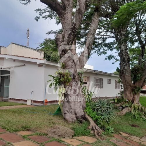 Imóvel WhatsApp Image 2026-04-08 at 11.39.56 - CasaBella Imobiliária