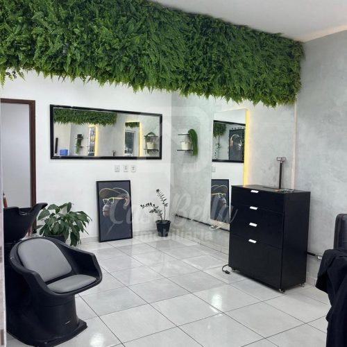 WhatsApp Image 2026-03-19 at 17.05.08 (2)