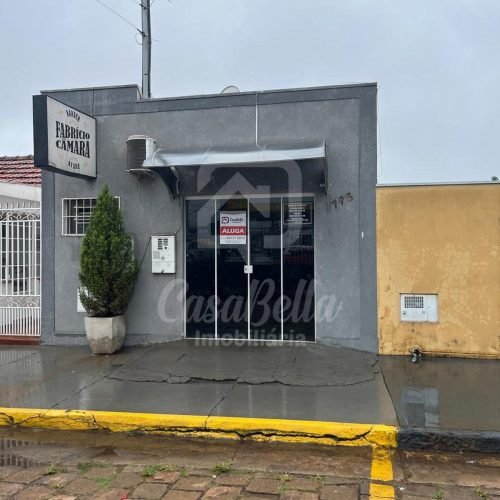 WhatsApp Image 2026-03-19 at 17.05.10 (1)