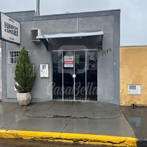 WhatsApp Image 2026-03-19 at 17.05.10