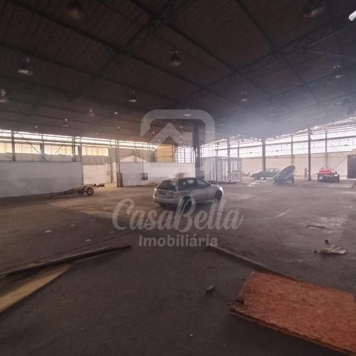 WhatsApp Image 2026-04-29 at 17.40.25