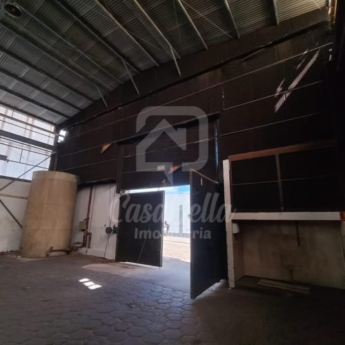 WhatsApp Image 2026-04-29 at 17.40.26