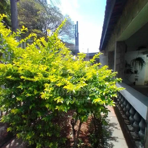 Imóvel 449 (19) - CasaBella Imobiliária