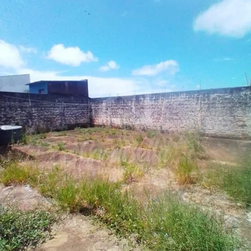 Imóvel 449 (30) - CasaBella Imobiliária