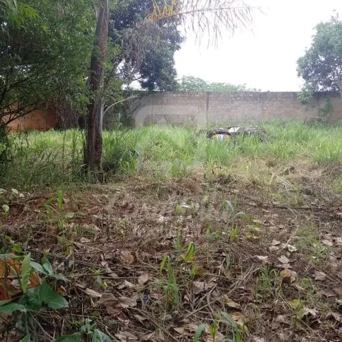 Imóvel 680 (6) - CasaBella Imobiliária