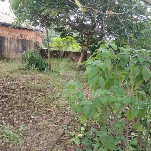 Imóvel 680 (7) - CasaBella Imobiliária