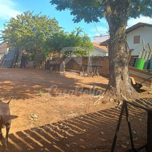 Imóvel 724 (33) - CasaBella Imobiliária
