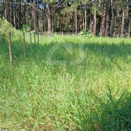 Imóvel WhatsApp Image 2025-06-04 at 16.30.46 (1) - CasaBella Imobiliária