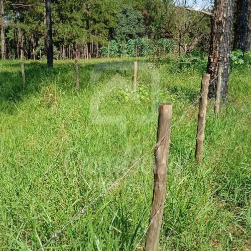 Imóvel WhatsApp Image 2025-06-04 at 16.30.46 (4) - CasaBella Imobiliária