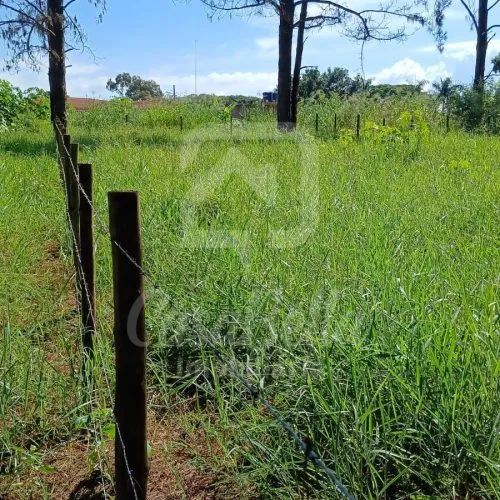 Imóvel WhatsApp Image 2025-06-04 at 16.30.46 - CasaBella Imobiliária