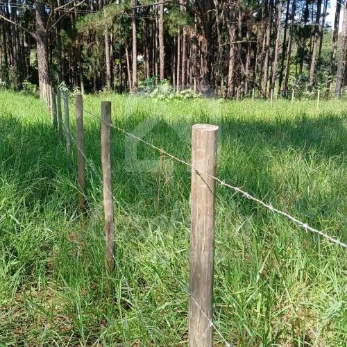 Imóvel WhatsApp Image 2025-06-04 at 16.30.47 (1) - CasaBella Imobiliária