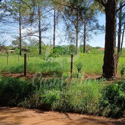 Imóvel WhatsApp Image 2025-06-04 at 16.30.47 (2) - CasaBella Imobiliária