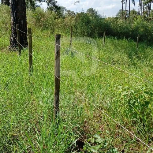 Imóvel WhatsApp Image 2025-06-04 at 16.30.47 - CasaBella Imobiliária