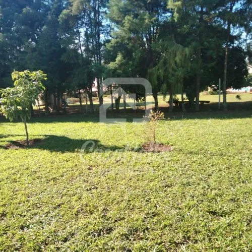 Imóvel WhatsApp Image 2025-09-18 at 11.43.51 (1) - CasaBella Imobiliária