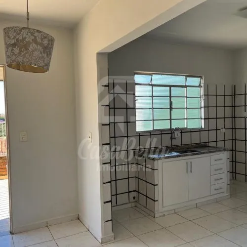 WhatsApp Image 2026-03-19 at 17.04.37